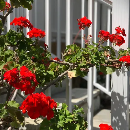 Rita's Beachfront House Semesterbostad