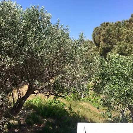 Rita's Beachfront House Hébergement de vacances Páros