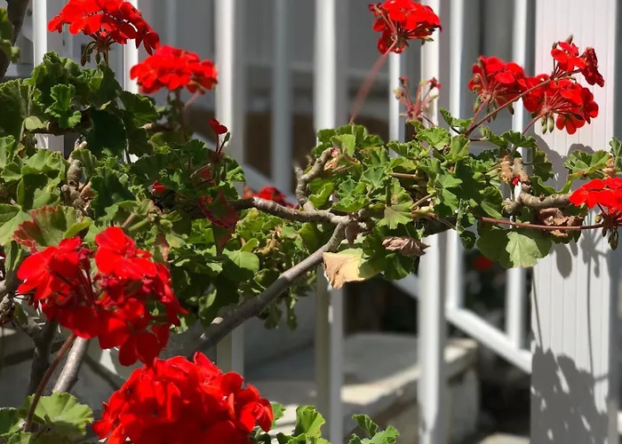 Rita's Beachfront House Σπίτι διακοπών