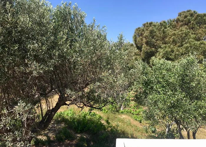 Rita's Beachfront House Σπίτι διακοπών Πάρος